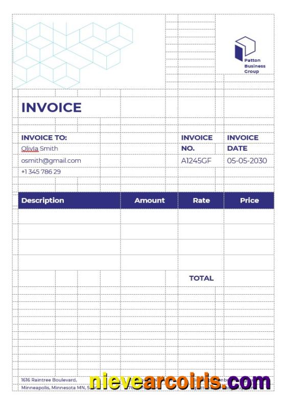 Business Advisor Invoice